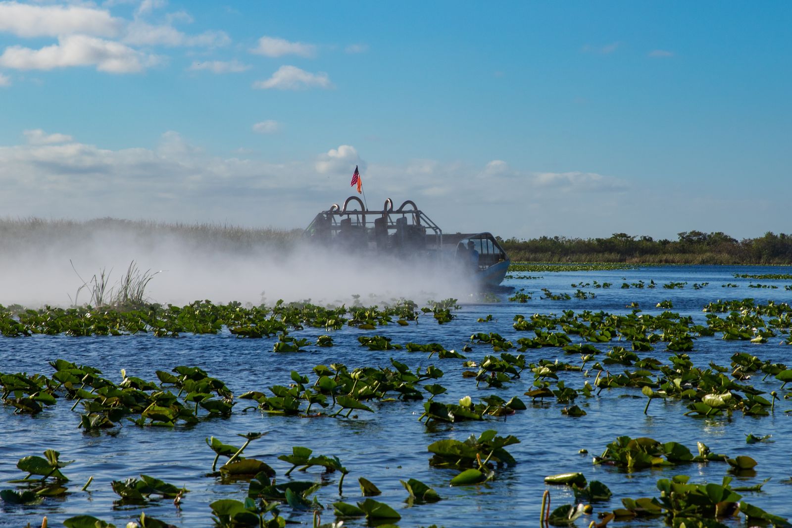 An airboat speeding across open water and lily pads, throwing up spray